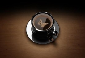 咖啡师 / 咖啡艺术